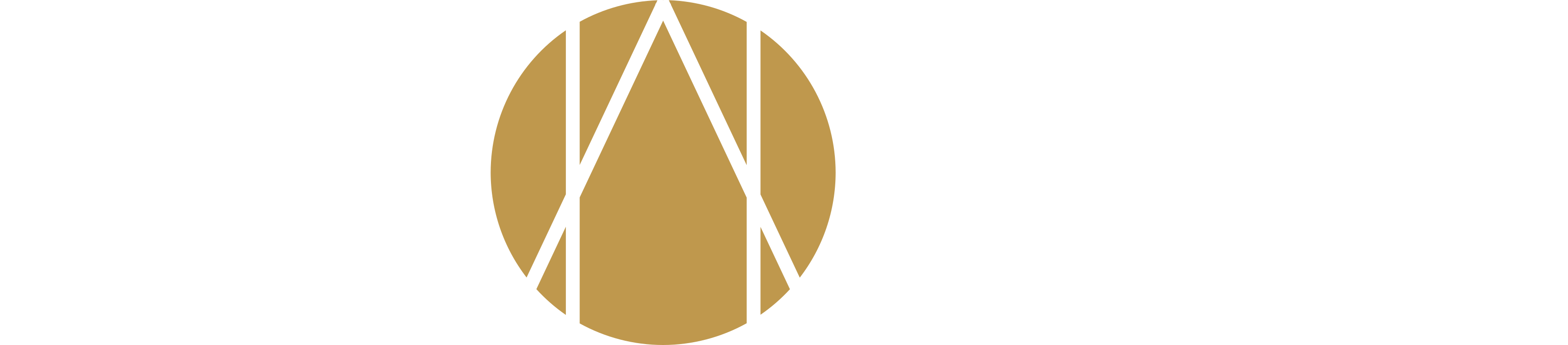 Logo Around Design